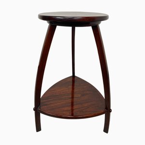 Secession No. 38 Plant Table attibuted to Otto Wagner for Thonet, 1890s