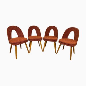Mid-Centruy Dining Chairs attributed to Antonín Šuman for Mier Topoľčany, 1960s, Set of 4