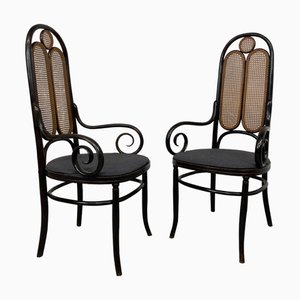 Poltrone Secession di Thonet, metà XIX secolo