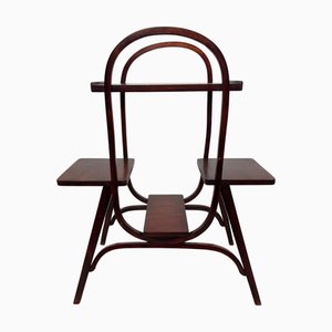 Jugendstil Plant Stan von Thonet, 1890er