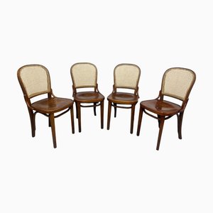 Vintage Esszimmerstühle von Thonet, 1920er, 4er Set