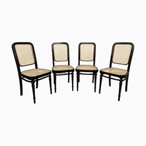Sedie da pranzo in legno curvato di Thonet, metà XIX secolo, set di 4