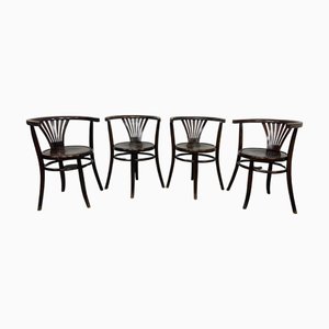 Vintage Esszimmerstühle von Thonet, 1920er, 4er Set