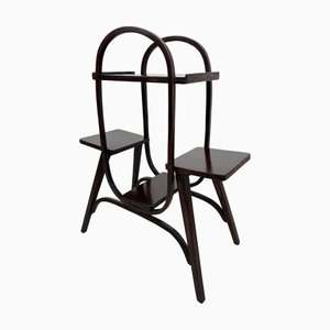Jugendstil Plan Stand from Thonet, 1890s