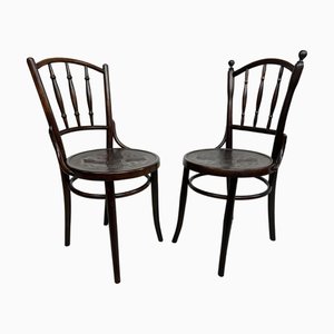 Esszimmerstühle aus Bugholz von Thonet, 1920er