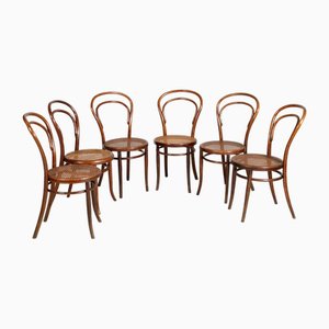 Nr. 14 Stühle von Michael Thonet für Thonet, 1960er, 6er Set