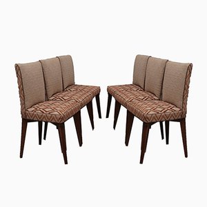 Stühle im Stil von Pier Luigi Colli, 1950er, 6er Set