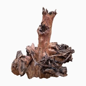 Pietro Meccani, Skulptur des Meeres: Polyphemus, 1995, Pinewood