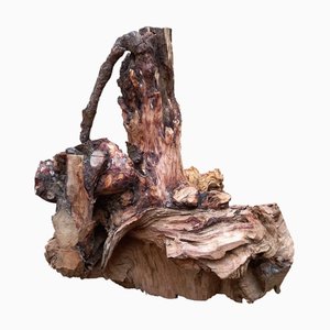 Pietro Meccani, Skulptur des Meeres, 1995, Kiefernholz