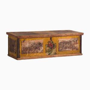 Antique Trunk with Metal Structure, 1920s