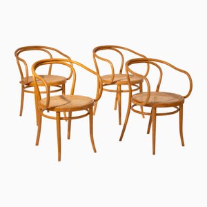 Modell 209 Stühle von Michael Thonet, 1960er, 4er Set