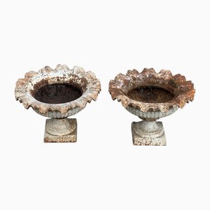 Urnes ou Jardinières Tazza en Fonte, Angleterre, 1860s, Set de 2