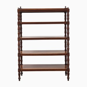 Antique Bookcase, 1800s