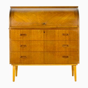 Mid-Century Modern Swedish Teak Cabinet by Egon Ostergaard, 1960s