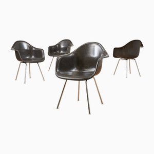 Poltrona con base ad H in acciaio cromato e scocca in fibra di vetro marrone scuro di Ray & Charles Eames per Vitra, 1948