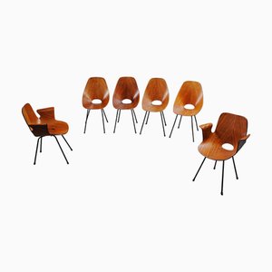 Chaises de Salle à Manger Medea par Vittorio Nobile, 1950s, Set de 6