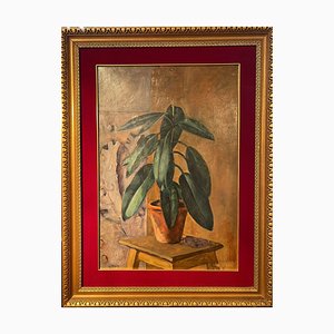 Giulio Benzi, Pianta, Dipinto ad olio su cartone, con cornice