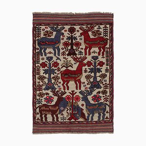 Barjasta Style Rug from Rug&Kilim
