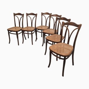 Modell 107 Esszimmerstühle mit Gurtband von Michael Thonet, Early 1900er, 6er Set