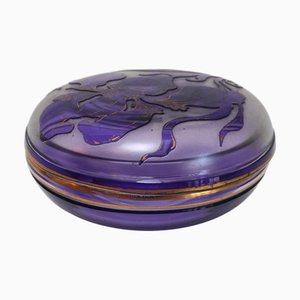 Art Nouveau Cameo Crystal Box by Philippe Wolfers for Val Saint Lambert, 1890s