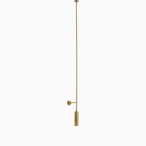 Tf511 Pendant Lamp in Satin Brass with Orientable Tubular Diffuser by Daluce