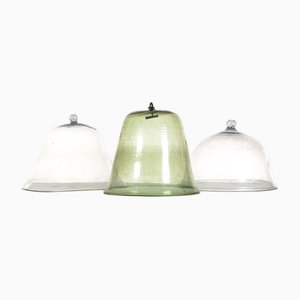 French Melon Cloches, Set of 3