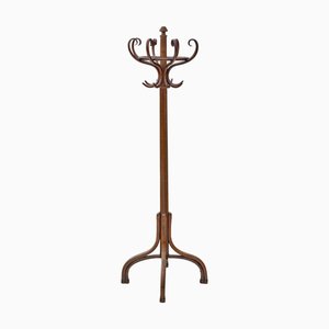 Antique Bentwood Hat and Coat Stand, 1900