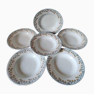 Piatti della serie Moselle in Ironstone di KG Luneville, Francia, fine XIX secolo, set di 6