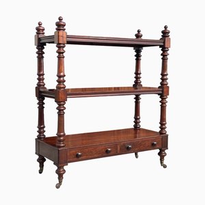 Antiker viktorianischer Stummer Kellner aus Mahagoni, 1860