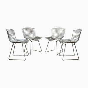 Side Chairs & Dining Chairs by Harry Bertoia at Pamono