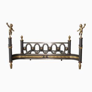Andirons with Log Guards in Cast Iron and Gilt Bronze, Set of 2