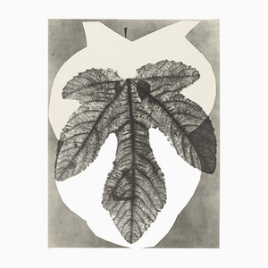 Pablo Picasso, Diurnes "Midas", 1962, litografia offset