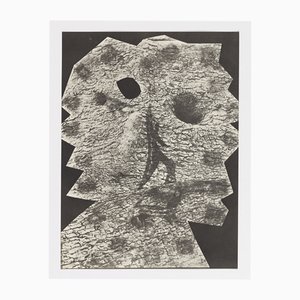 Pablo Picasso, Diurnes "Le plus profond silence", 1962, litografia offset