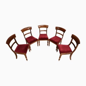 Englische viktorianische Stühle aus Mahagoni, 5 . Set