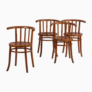 Bentwood Chairs with Engraved Seats, 1920s, Set of 4