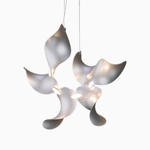 Lampada a sospensione Dune 6 Cluster con paralumi anodizzati argento di Daniel Becker