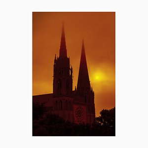 Guy Sargent, Golden Sun, Archival Pigment Print