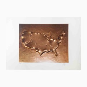 Aldo Palma, Revisiting the US, 2018, Screenprint