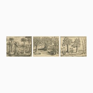 Bamboo and Cashew Trees, 1598, Paper, Set of 3