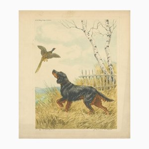 Paul Wood, Setter and Pheasant, 1930, Litografia su carta