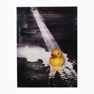 Ivana Vostrakova, Spring Swimming, 2013, Archival Pigment Print