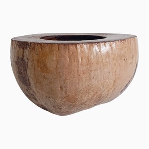 Moderne Wabi Sabi Coco de Mer Catch-All, Frankreich, 19. Jh.