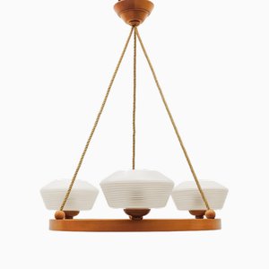 Mid-Century Modern Scandinavian Plywood Hanging Lamp from Domus, 1960s