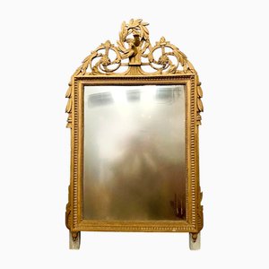 Louis XVI Style Mirror in Wood and Gilded Stucco, 1800s