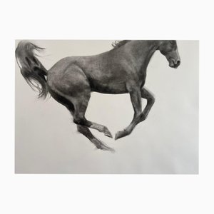 Patsy McArthur, Jumping Horse, 2024, Charcoal on Fabriano Paper, Framed