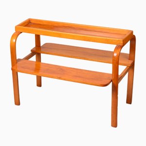 3-Shelf Flowerbed in Stained Wood, 1910s