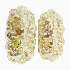 Mid-Century Modern Amber Bubble Glass Wall Sconces attributed to Helena Tynell for Limburg, Germany, 1960s, Set of 2