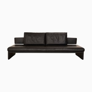 Together 3-Seater Sofa in Leather Anthracite from Walter Knoll / Wilhelm Knoll