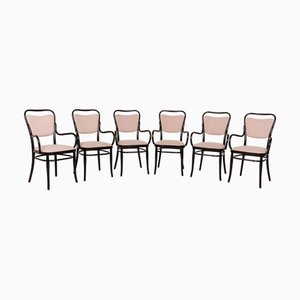 Sedie da caffè in legno marrone scuro e rivestimento rosa di Thonet, set di 6