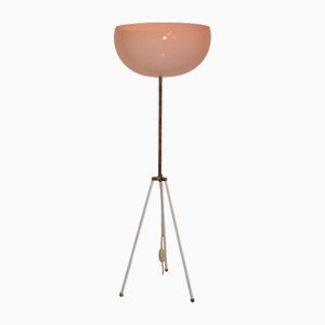 Space Age Floor Lamp, 1970